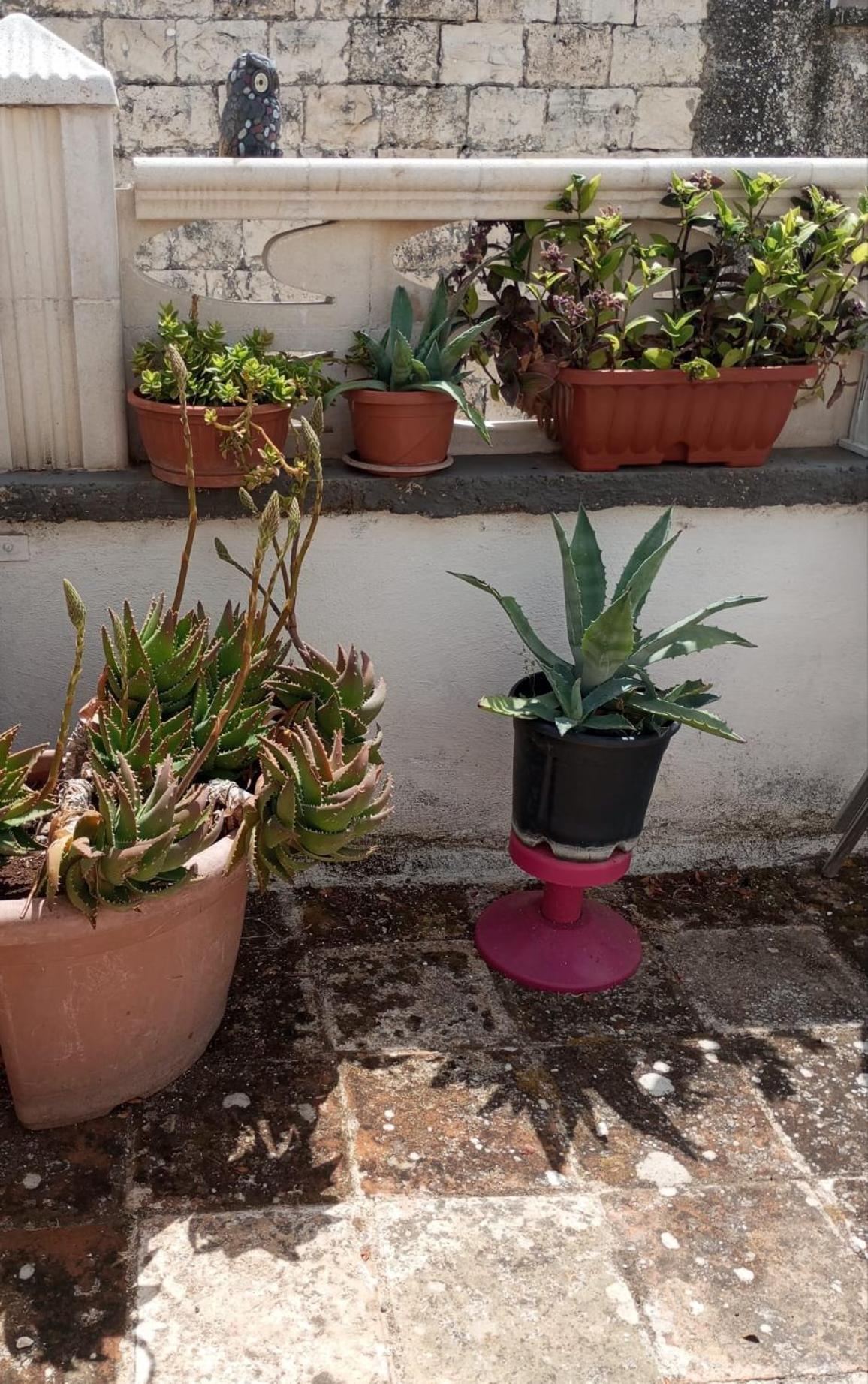 Tappa A Bitonto Apartment Luaran gambar