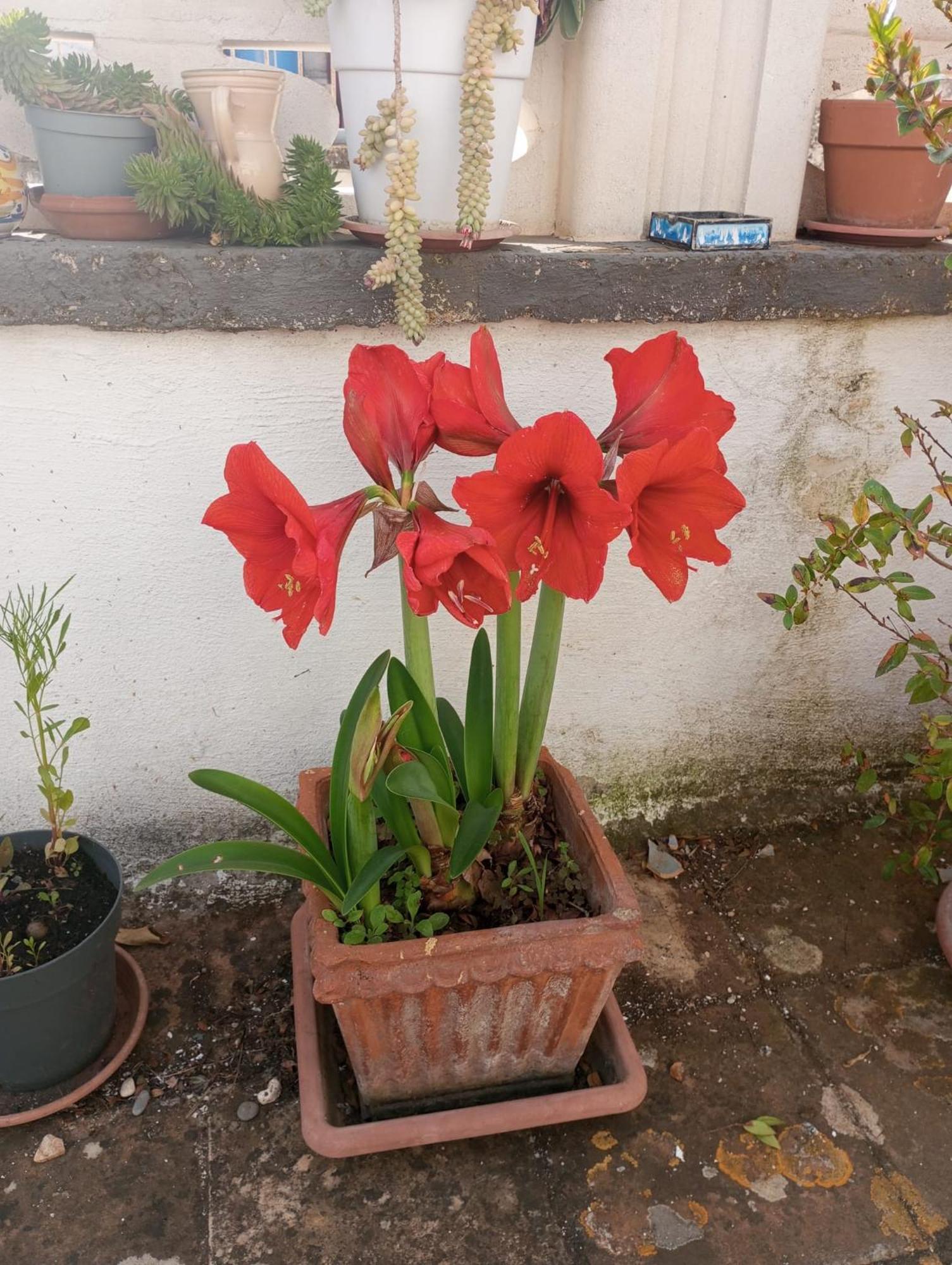 Tappa A Bitonto Apartment Luaran gambar